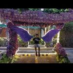 Adrian Yumul - @yumul856 - Instagram