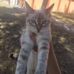 Adrian Zack - @adrian_00122 - Instagram