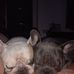 Adriano Zaccheo - Facebook