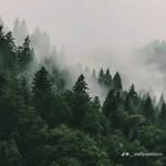 Adrian Zelada gonzales - @gonzalesadrianzelada - Instagram