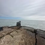 Adrian Zermeño - @cisco_0023 - Instagram