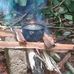 Adrian Antonio Zerpa - Facebook