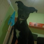Adrián Zerpa - @zerpita.7 - Instagram