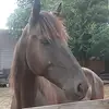 Adrianna Abrams - @adrianna.19._ - TikTok