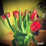 Adriana Albert - @adybiti - Instagram