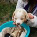 Adriana Burchi - Facebook