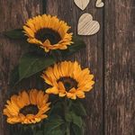 Adriana Cano - @adriana.cano.14418 - Instagram