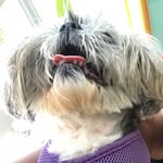 Adriana Carson - @baystate_3eclipse - Instagram