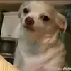Adrianacarson - @adrianacarson8177 - TikTok