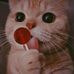 Adriana Chacon - Facebook