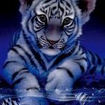 Adriana Frey - @adriana.frey - Instagram