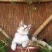 Adriana Nelli - Facebook