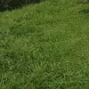 Adriana Obando - @adriana.obando8 - TikTok