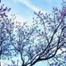 Adriana Olalde - Facebook
