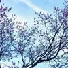 Adriana Olalde - @adriana.olalde6 - TikTok
