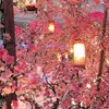 Adriana.Orta - @adriana.ortaa - TikTok