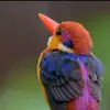 user5514437799723 - @adriana_pablo_ - TikTok