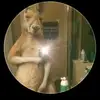 adriana padron - @adrianapadron73 - TikTok