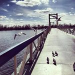 Adriane Armstrong - @adrianearmstrong9 - Instagram