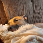 Adriane Baker - Facebook