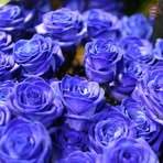 Adriane Byrd - Facebook