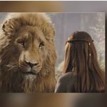Adriane Carrer - @adriane_carrer - Instagram