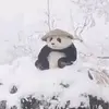 AdrianneAlia@ - @resoulbro - TikTok