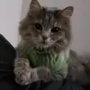 Adrianne - @adriannecross - TikTok