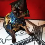 🐱Didi🐱 - @adriano.johnson.dias - Instagram
