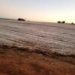 Adriano Machado - @adriano_machado7 - Instagram