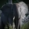 Adriano Marcon - @adriano.marcon48 - TikTok