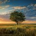 Adriano Matos - Facebook