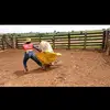 Adriano Melo - @adriano.melo022 - TikTok