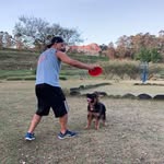 Adriano Pedroso - @adriano.pedroso.336 - Instagram