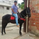 Adriano Pimenta - @adriano.pimenta.7393 - Instagram