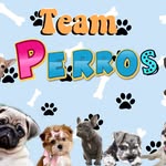 Adriano polo - @team_perritos_23 - Instagram