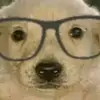 Adriano Reyes - @adriano.reyes75 - TikTok