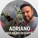 Adriano Rosas do Deserto - @adrianorosadodeserto - Instagram