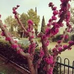 Adriano Rossi - @adriano.rossi.54379 - Instagram