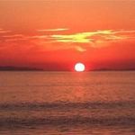 Adrianus Gresnigt - @adrianusgresnigt - Instagram
