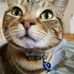 Adrie Lee - Facebook
