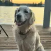 adrienne_wright - @adrienne_wright - TikTok