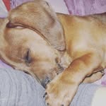 alexis adriel alfonso - @alexisadrielalfons - Instagram