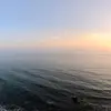 adriel alvarez - @adriel.alvarez51 - TikTok