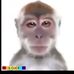 Adriel Anderson - Facebook