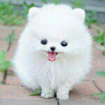 Adriel Armstrong - @aarmstrong88753 - Instagram