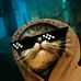 Adriel Aviles - Facebook