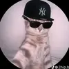 😵‍💫Lian _avilés👺 - @yadriel_aviles0 - TikTok