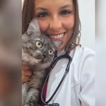 MV Ariela Bolandin | Atendimento a domicílio - @medvetaribolandin - Instagram