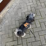 Adriel brown - @adrielbrown26 - Instagram